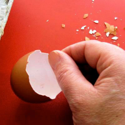 آموزش کاشت سبزه عید در پوست تخم مرغ