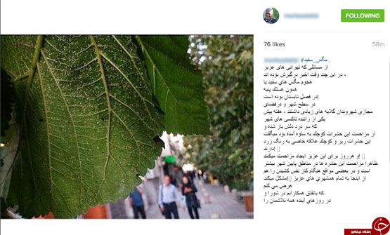 مهمان ناخوانده تهرانی ها در اینستاگرام طلایی+ عکس