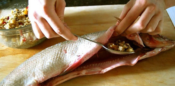 آشنایی با روش پخت ۱۳ نوع ماهی