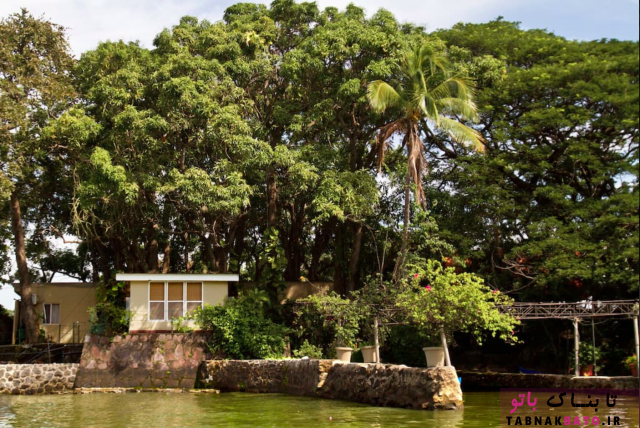 6 جزیره شخصی که می توانید آنها را اجاره کنید