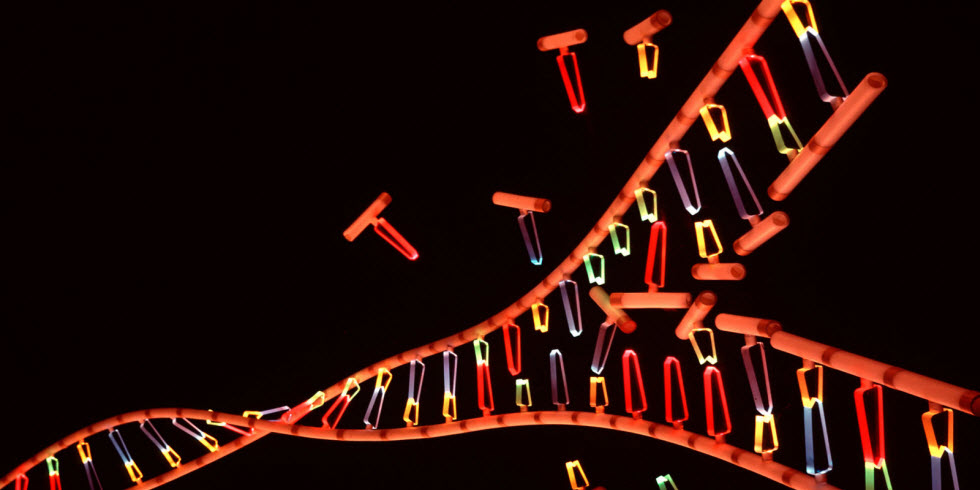 ساختن DNA ‌مصنوعی برای خلق شکل جدیدی از حیات