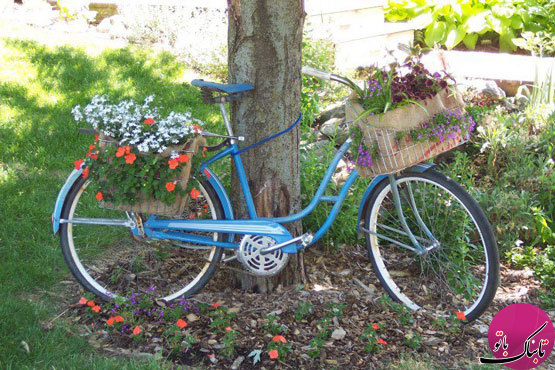 استفاده از دوچرخه‌های قدیمی در زیباسازی باغ و باغچه