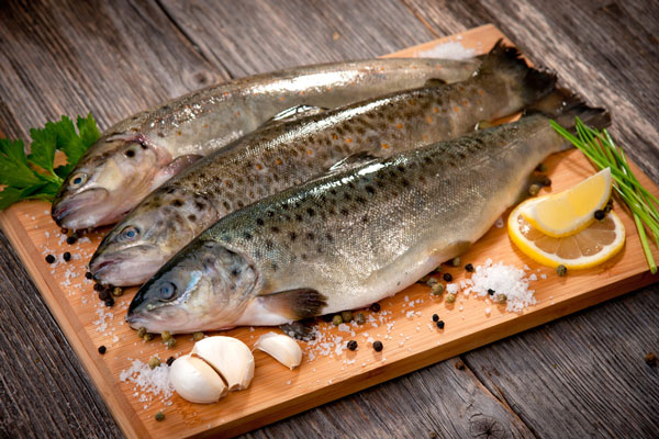 نکاتی مهم برای خوش طعم شدن ماهی