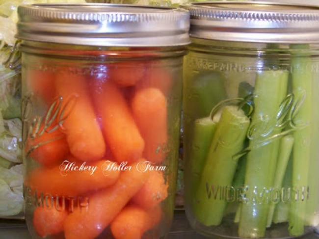 روش های درست نگهداری میوه ها و سبزیجات در یخچال