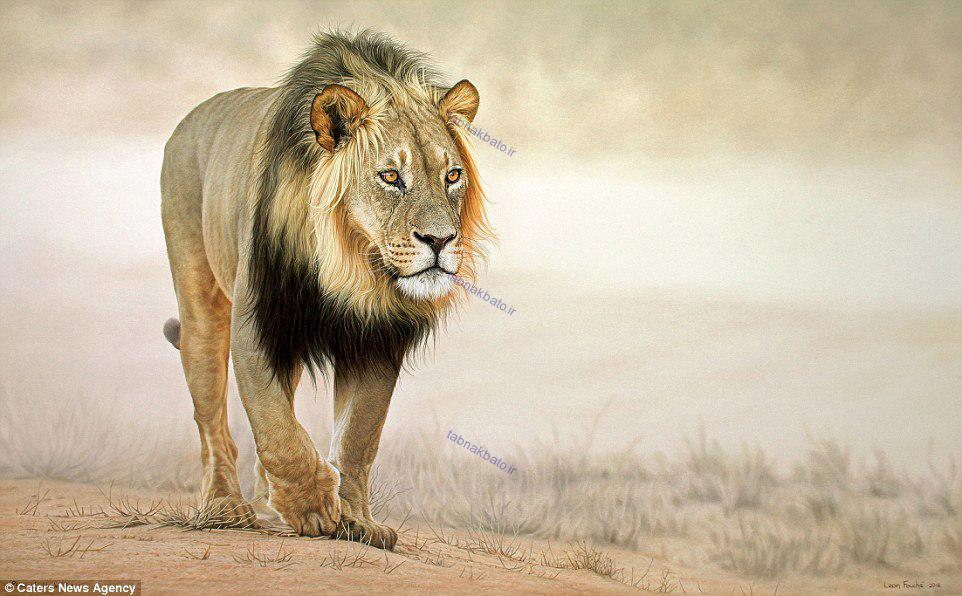 خلق نقاشی های هایپر رئال باورنکردنی از حیات وحش آفریقا