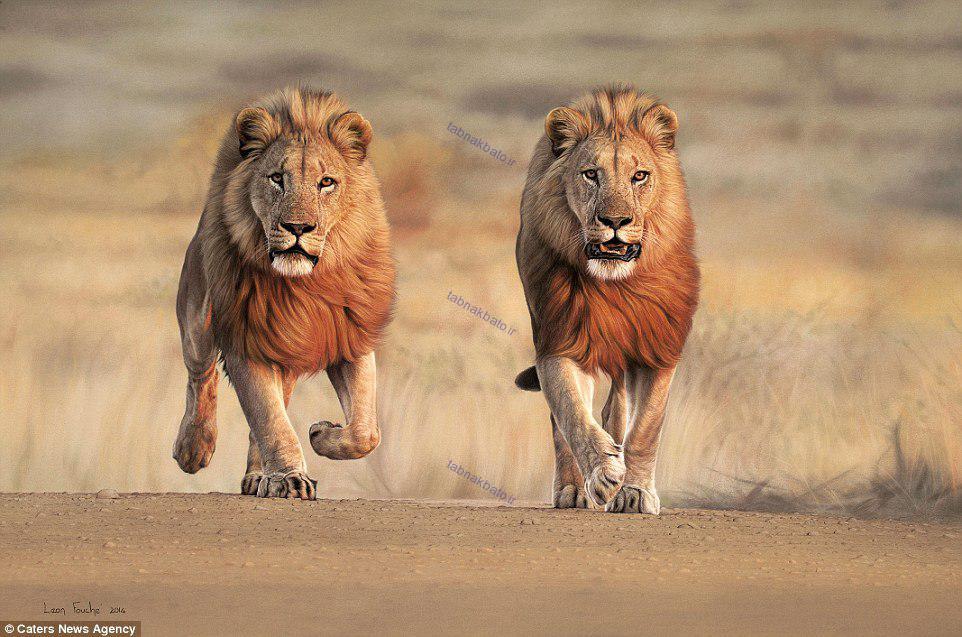 خلق نقاشی های هایپر رئال باورنکردنی از حیات وحش آفریقا