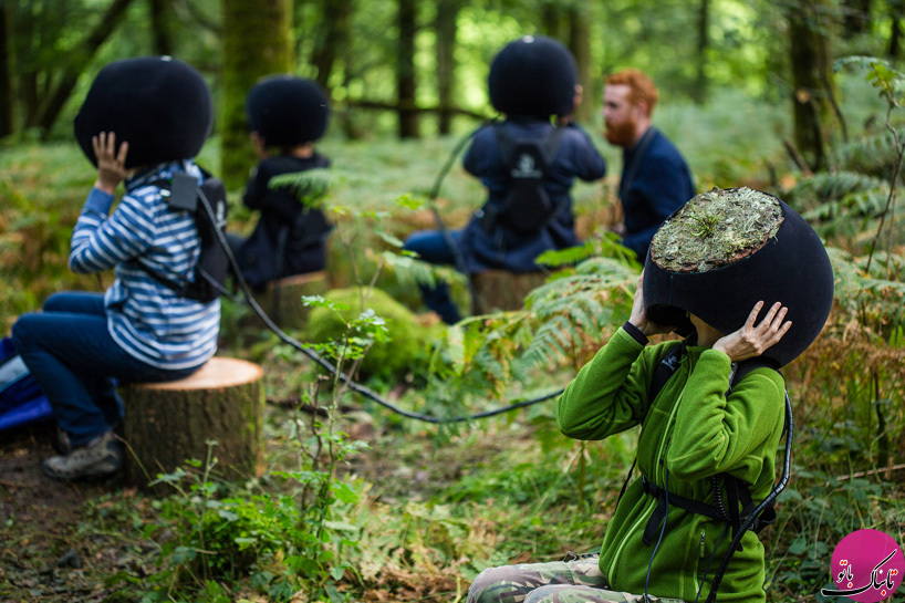دیدن جنگل از چشم حیوانات با واقعیت مجازی