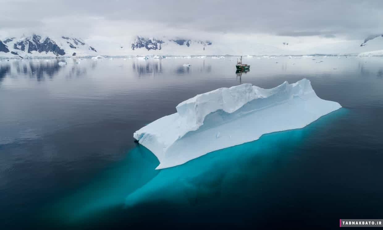نخستين تصاوير موجوات اعماق قطب جنوب