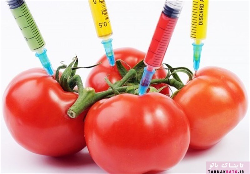 بیل گیتس غذاهای اصلاح شده ژنتیکی را کاملا سالم می‌داند