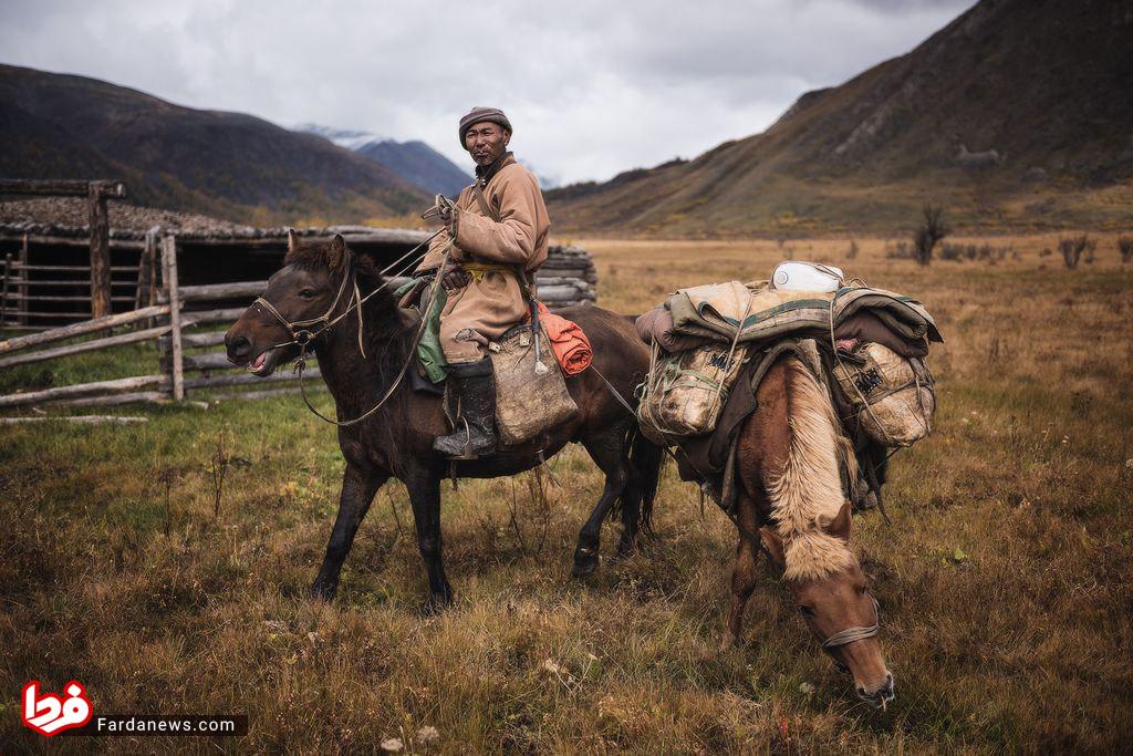مسافرت مرد مغولی با اسب هایش سوژه شد +عکس