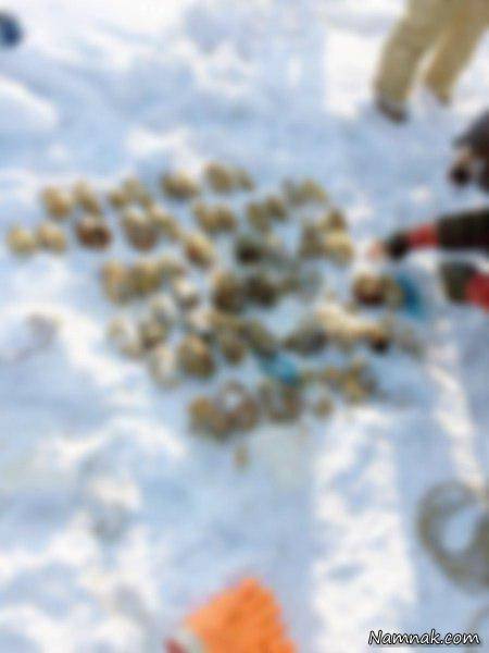 کشف جنجالی ۵۴ دست قطع شده انسان میان برف+تصاویر