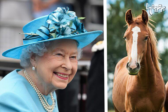حیوانات عجیبی که به ملکه الیزابت هدیه داده شده +عکس