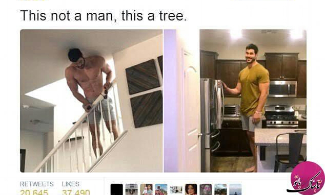 تصاویر مردی که شبیه درخت است