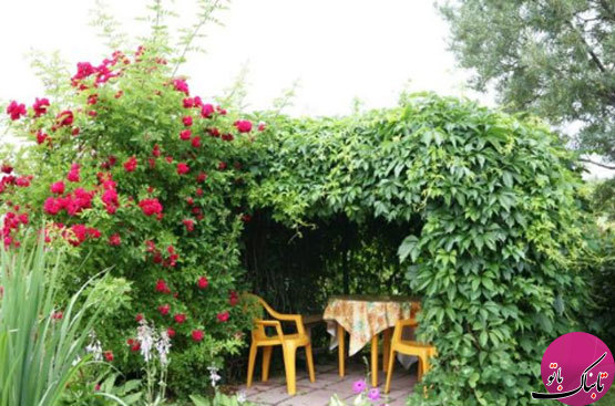 آلاچیق‌های سبز، چشم‌اندازی زیبا برای باغ و باغچه