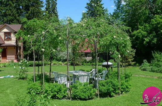 آلاچیق‌های سبز، چشم‌اندازی زیبا برای باغ و باغچه