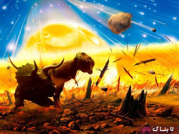هشدار: آغاز موج ششم انقراض حیات وحش