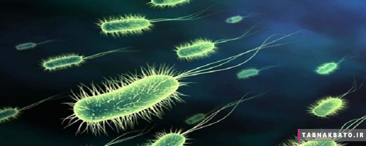 میکروب معده چیست و چگونه شناسایی و درمان می شود؟