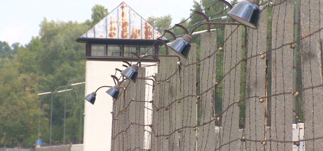 سرنوشت افروژرمن های عقیم شده در آلمان