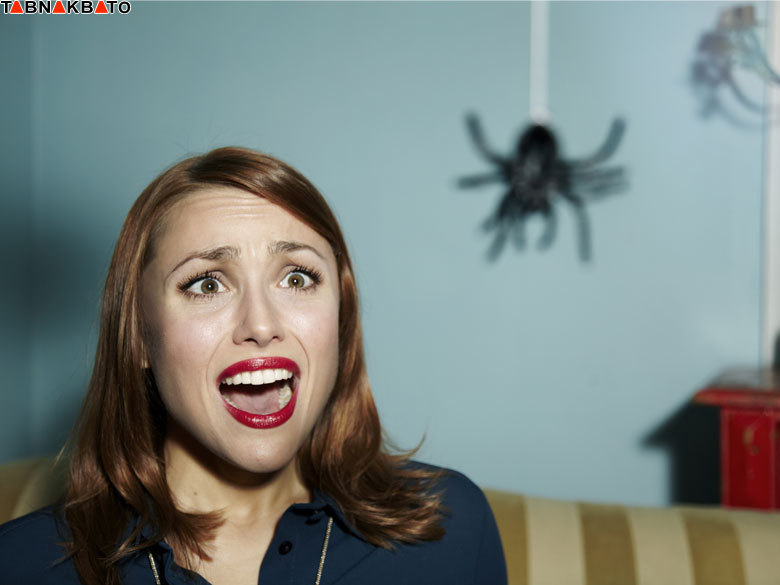 آیا عنکبوت ها می توانند حیات انسانها را به خطر بیندازند؟