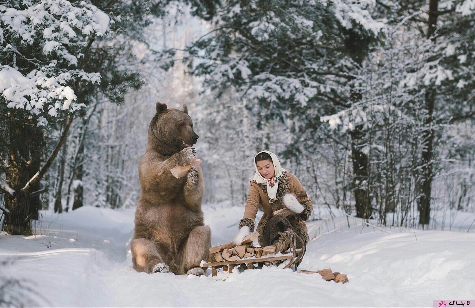 عکس های خیالی در طبیعت سرد روسیه