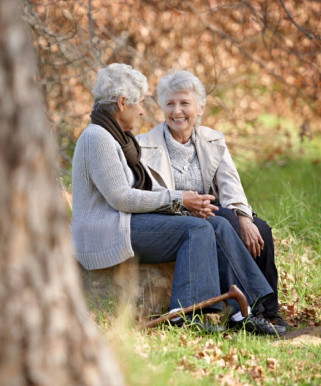 Denver Canadian Seniors Singles Dating Online Website