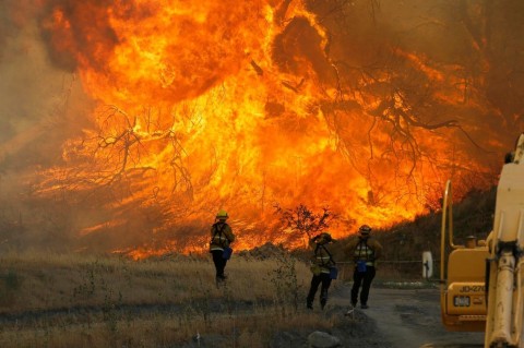 بلای وحشتناکی که آتش سوزی بر سر کالیفرنیا آورد