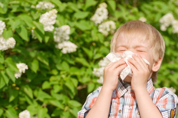 آلرژی های پاییزی چیست؟