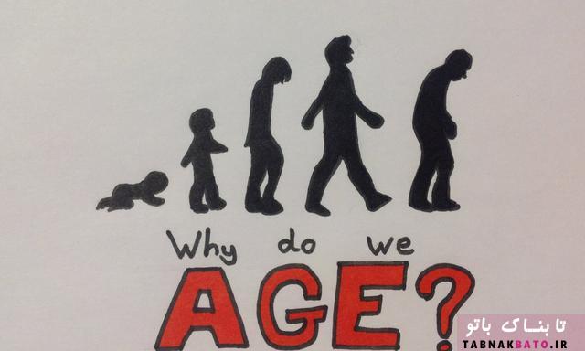 چرا تکامل تاکنون غول پیری را از میان برنداشته؟!