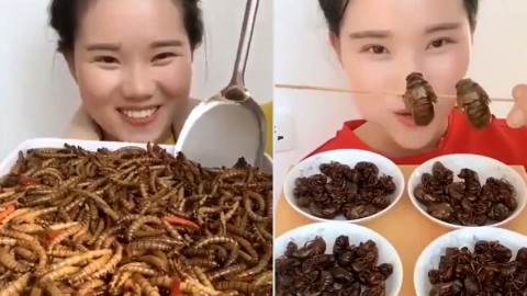 اشتهای عجیب یک دختر جوان برای خوردن حشرات!