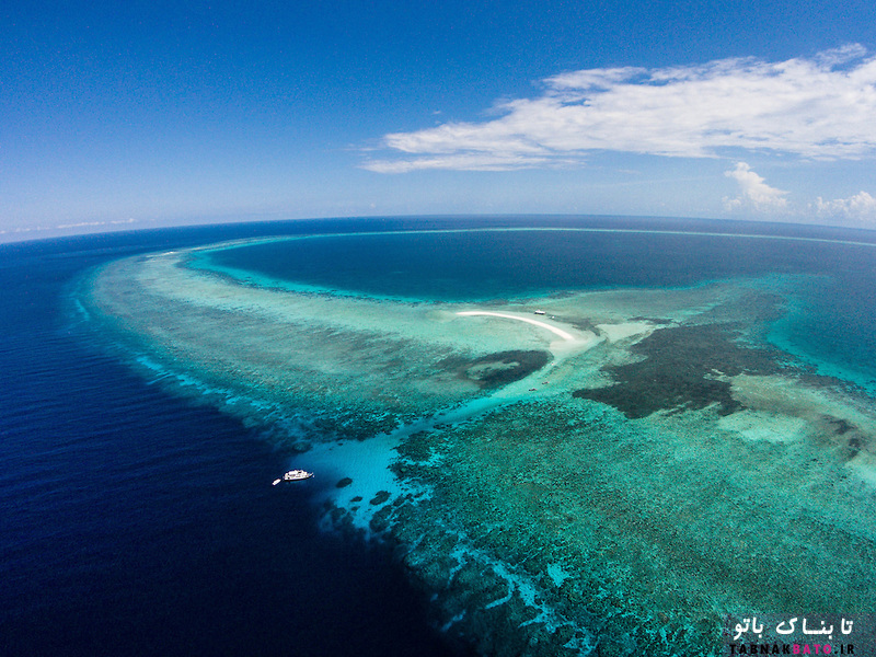 عکس هایی دیدنی از قلب مرجانی فیلیپین