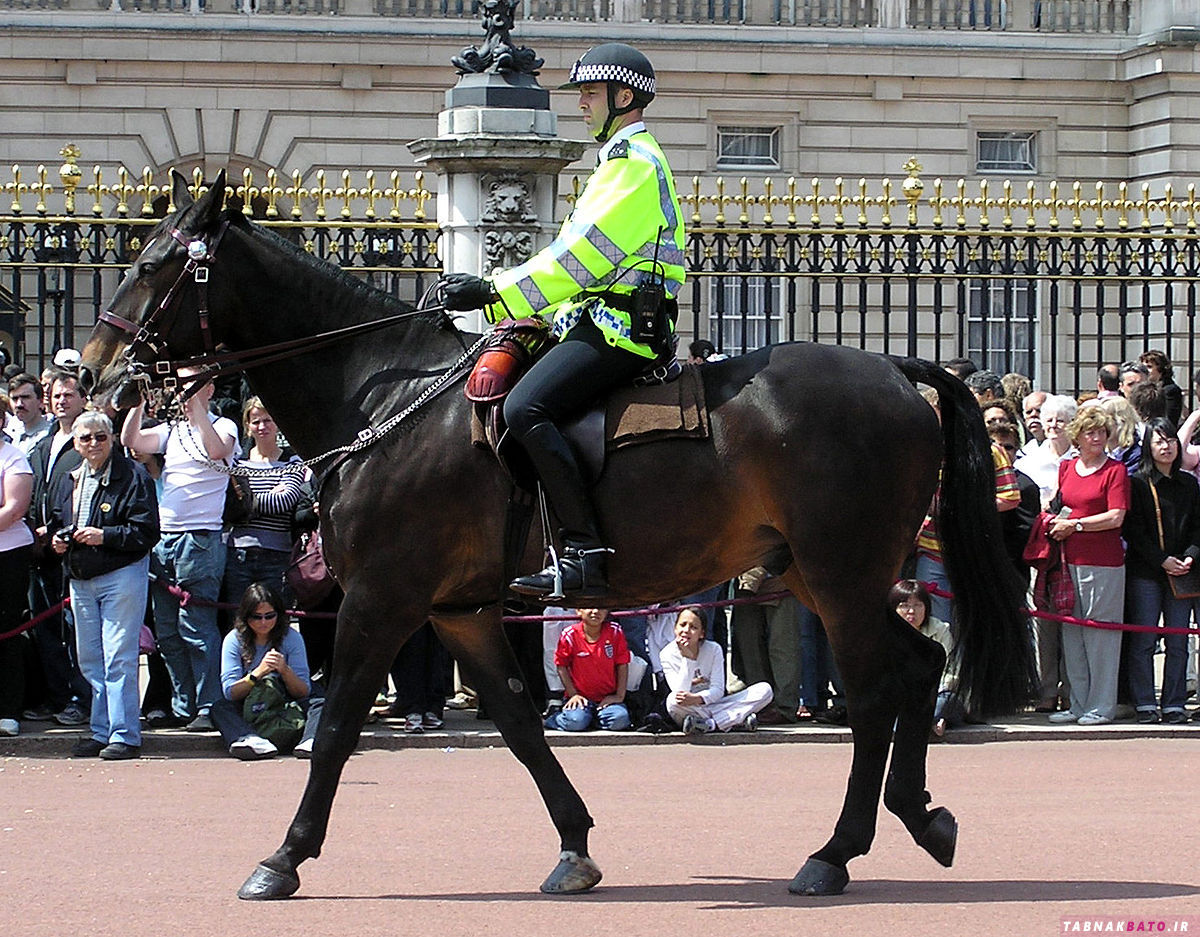 چرا پلیس برخی کشورها هنوز سوار اسب می شوند؟