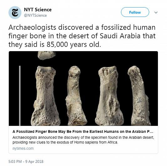 کشف فسیل ۸۵ هزار ساله انسان در عربستان+عکس