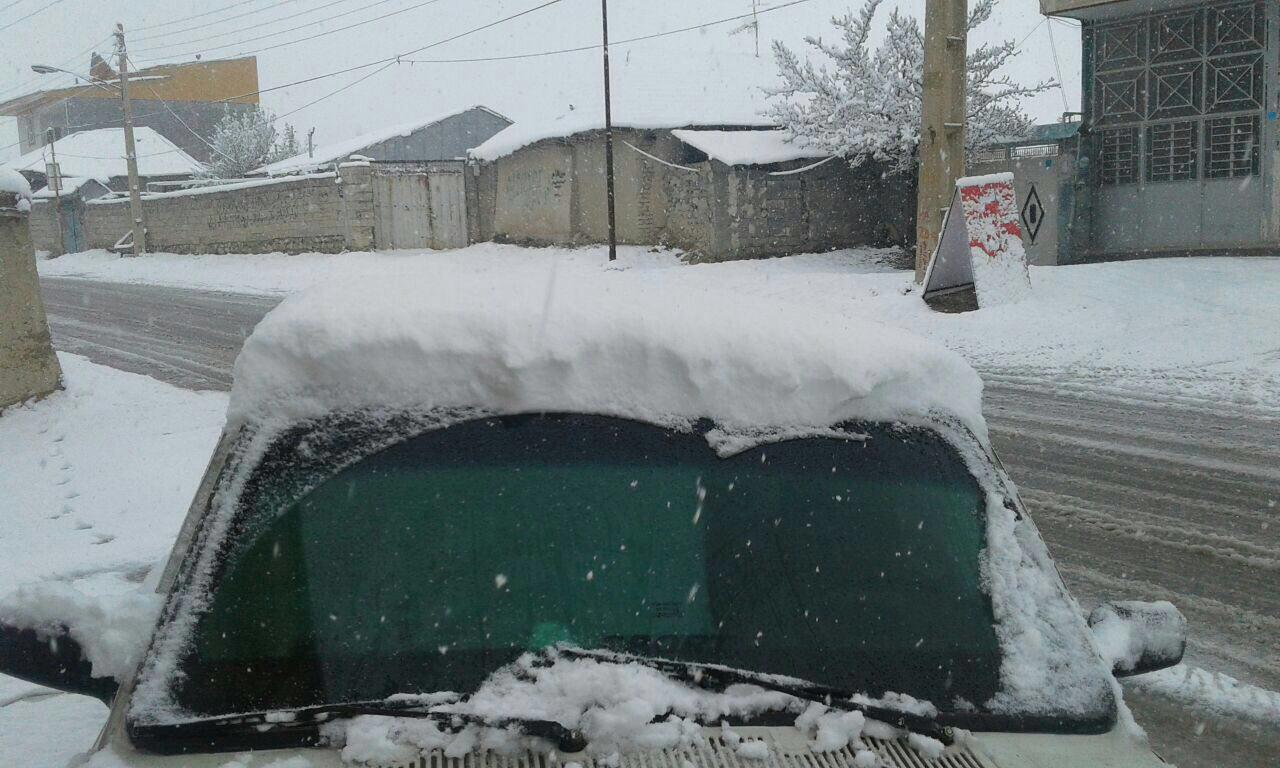 بارش برف ١٠ سانتی در فیروزکوه+عکس