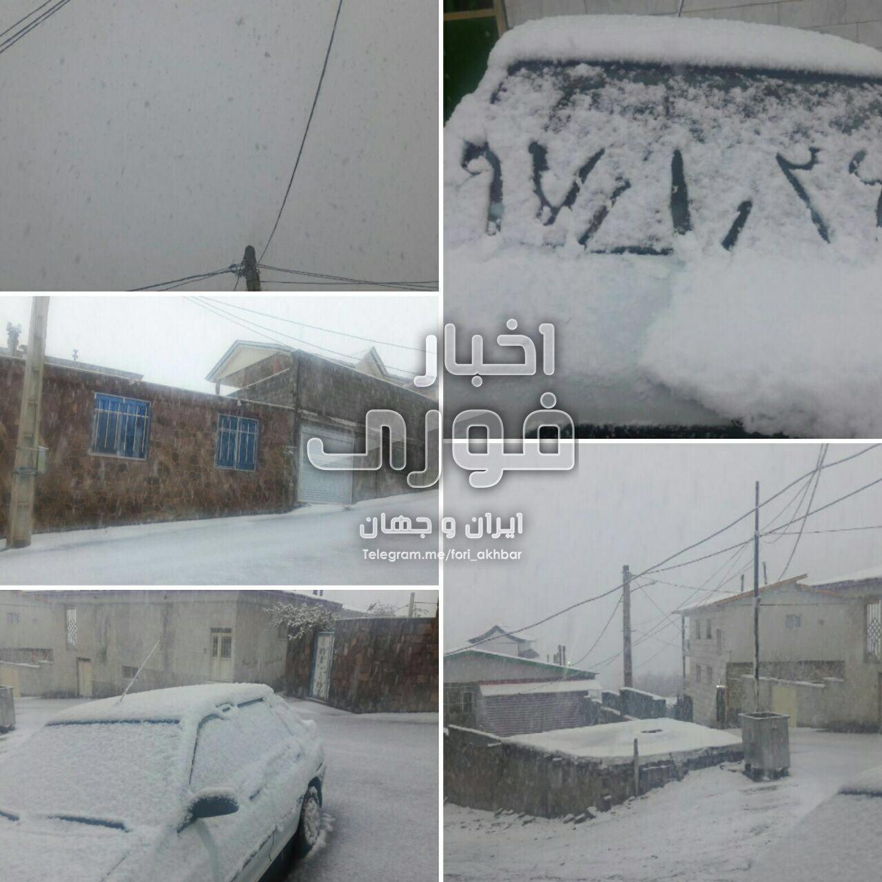 بارش برف در روستای توریستی در فیروزکوه +عکس