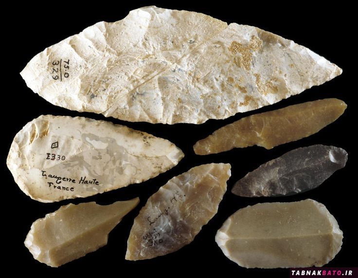 دانستنی های جالب از زندگی پر مخاطره ی انسان در عصر سنگ