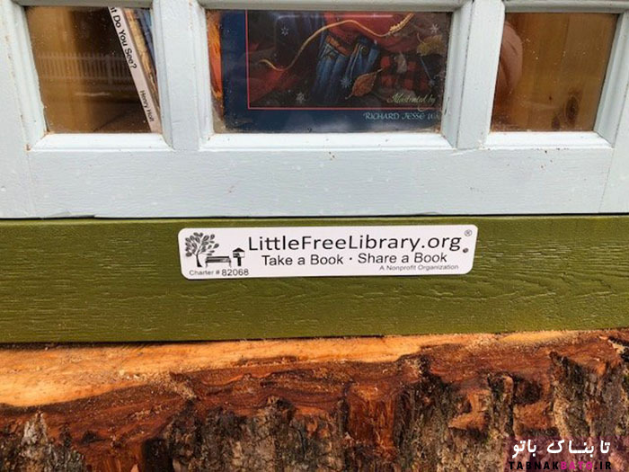 وقتی یک درخت قدیمی، کتابخانه می‌شود!