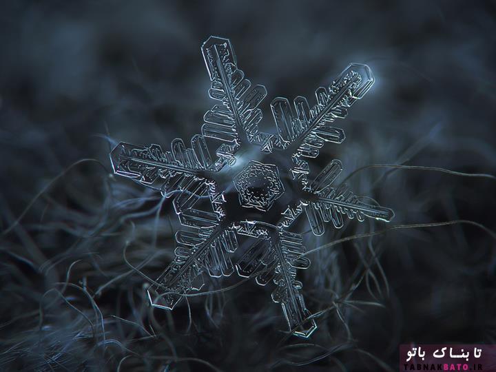 تصاویری شگفت‌انگیز از کریستال‌های برف