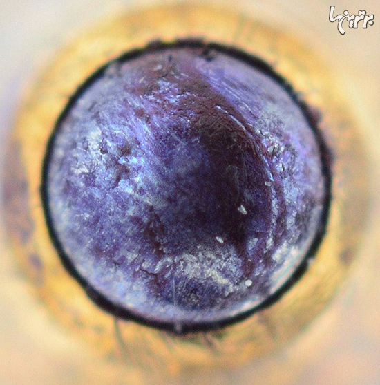 منظره عجیب و باورنکردنی چیزهای عادی زیر میکروسکوپ!