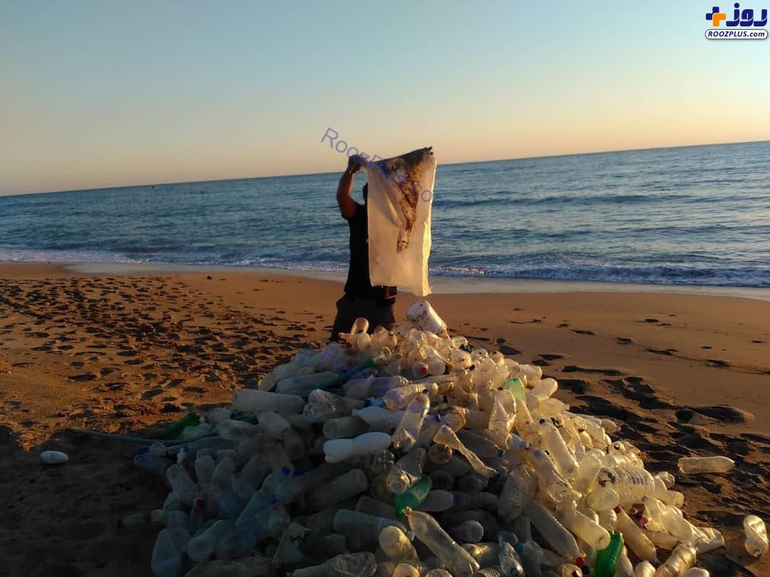 جمع آوری داوطلبانه زباله ها در ساحل عسلویه +عکس