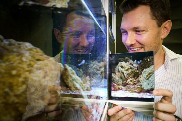 ماهی‌ها تصویر خود را در آینه تشخیص می‌دهند+عکس