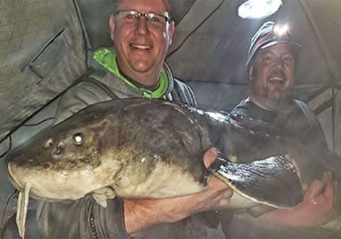 شکار ماهی خاویاری بزرگ با وزن ۵۴ کیلوگرم