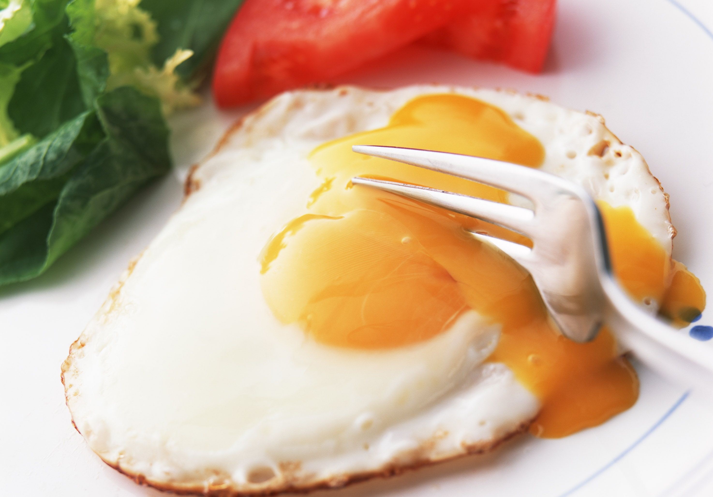 رفع کم‌خونی با مصرف تخم مرغ
