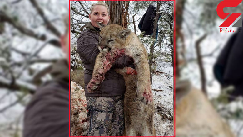 عکس جنجالی و دردناک زن شکارچی با شیر کوهی