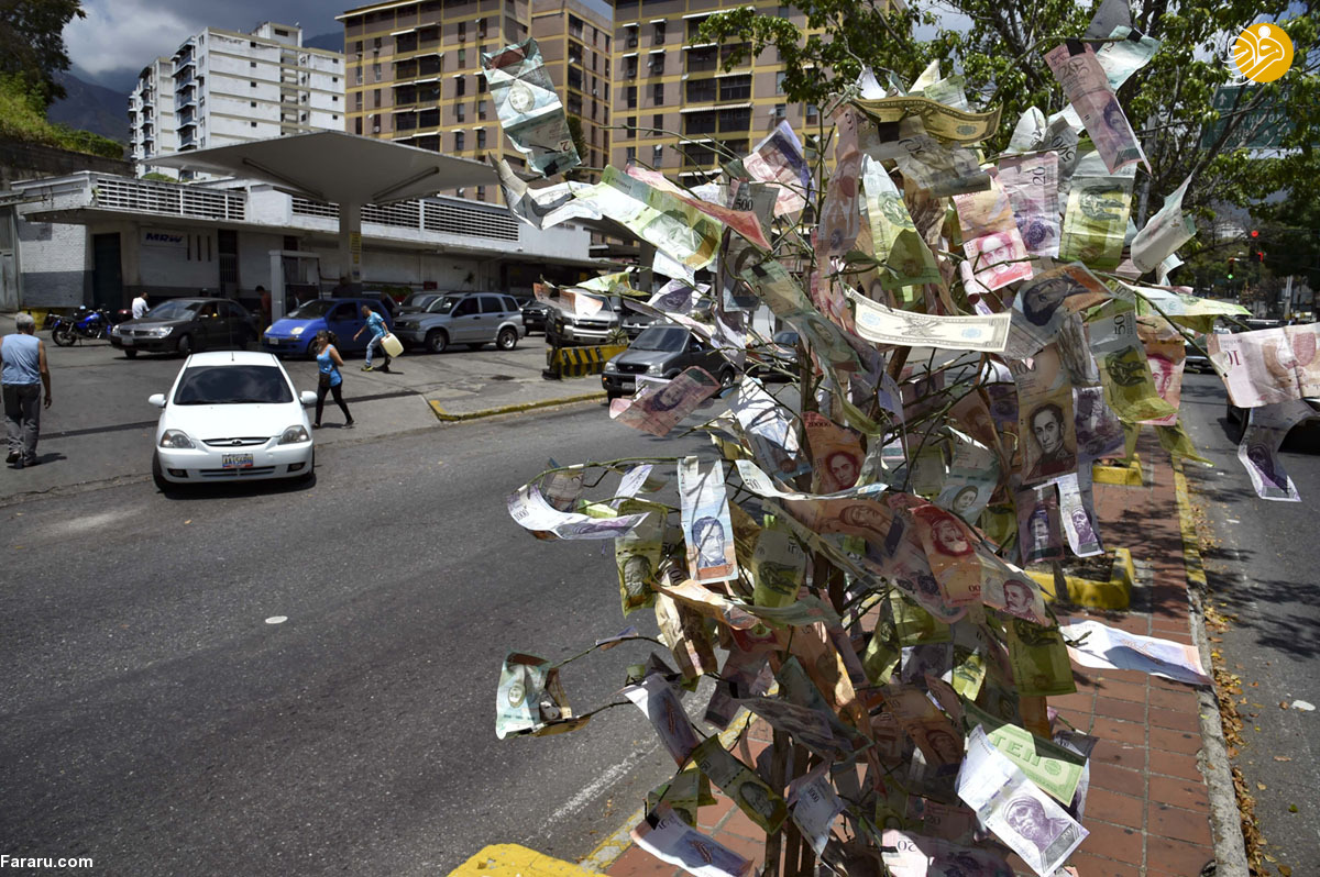 درختِ پول در ونزوئلا+عکس