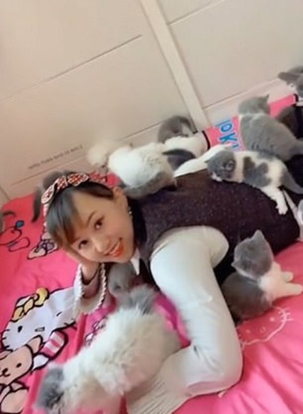 زن جوان چینی ده‌ها بچه گربه را به فرزندی قبول کرد+تصاویر