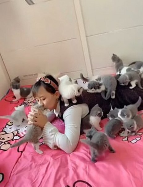 زن جوان چینی ده‌ها بچه گربه را به فرزندی قبول کرد+تصاویر