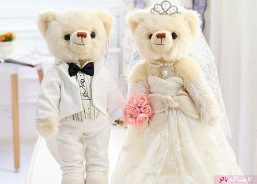 ازدواج لاکچری دو عروسک خرسی در مصر