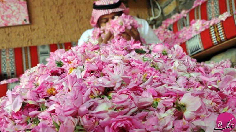 جشنواره ی گل در طائف عربستان