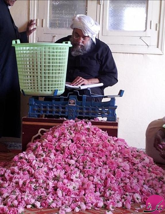 جشنواره ی گل در طائف عربستان