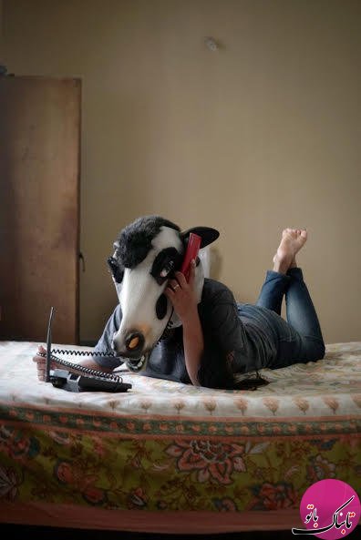پروژه عجیب عکاس هندی؛ گاوها مهمترند یا زن ها؟!
